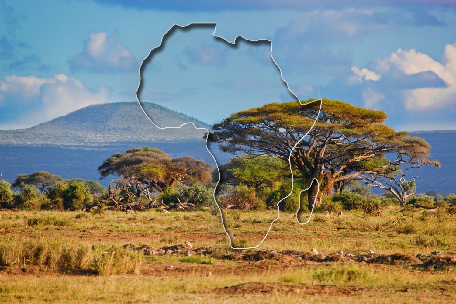 Africa